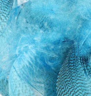 Mallard Barred Flank