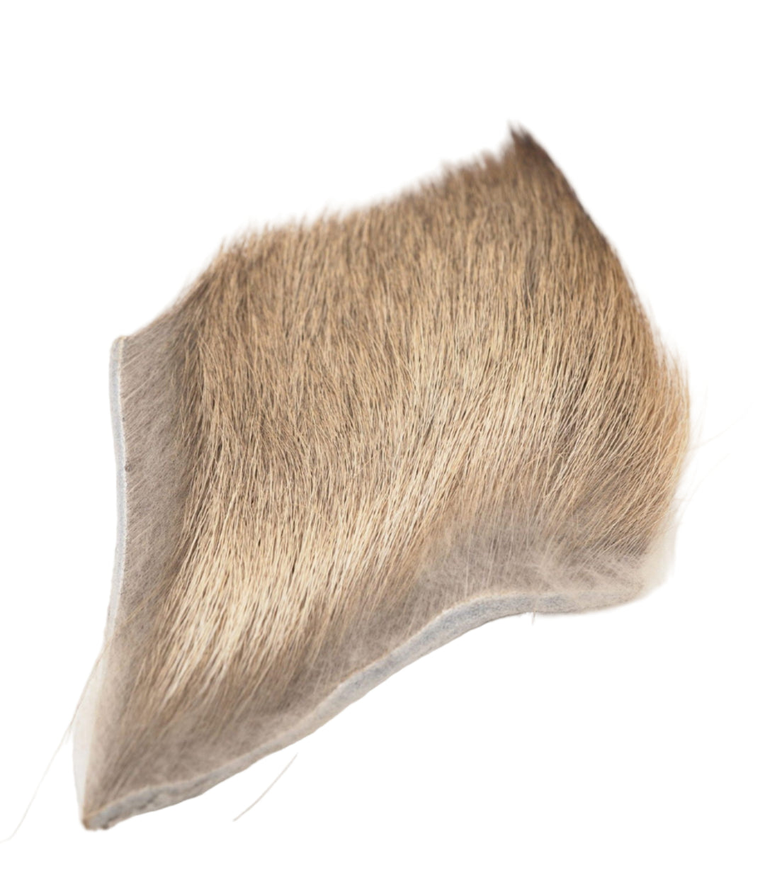 Elk Body Hair