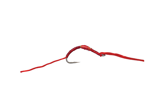 Flossy Worm