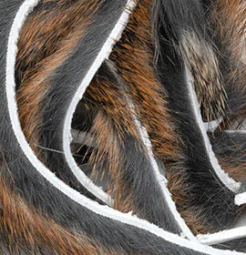 Micro Pine Squirrel Strips