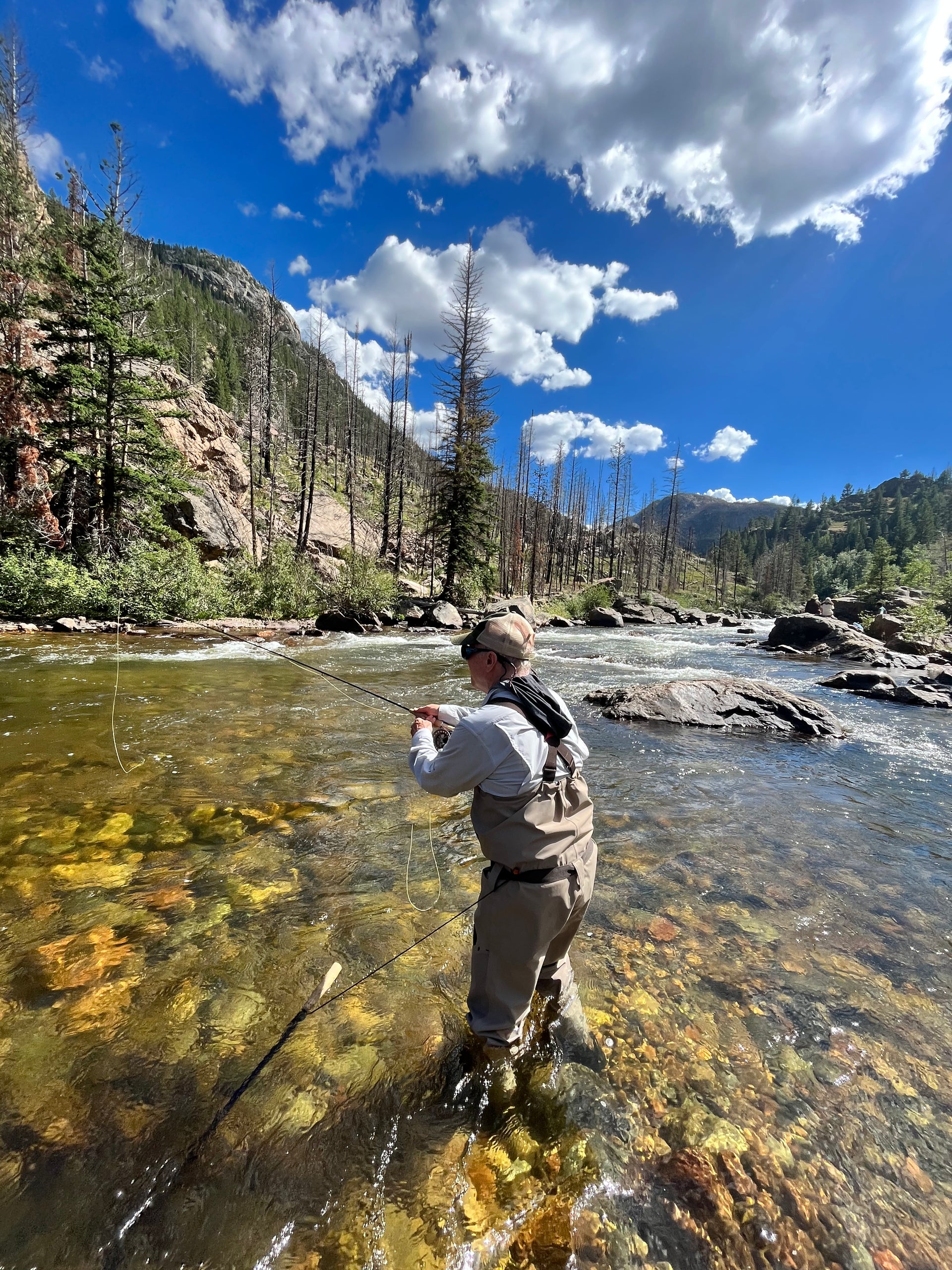 Poudre River Fishing Report – St. Peter's Fly Shop