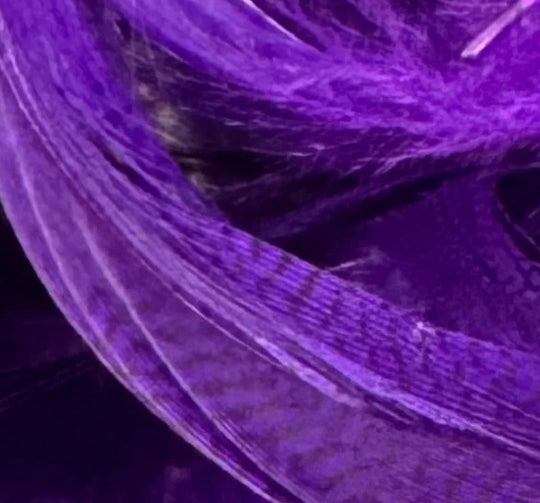 Mallard Barred Flank