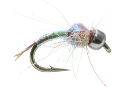 Rainbow Warrior Nymph Tungsten