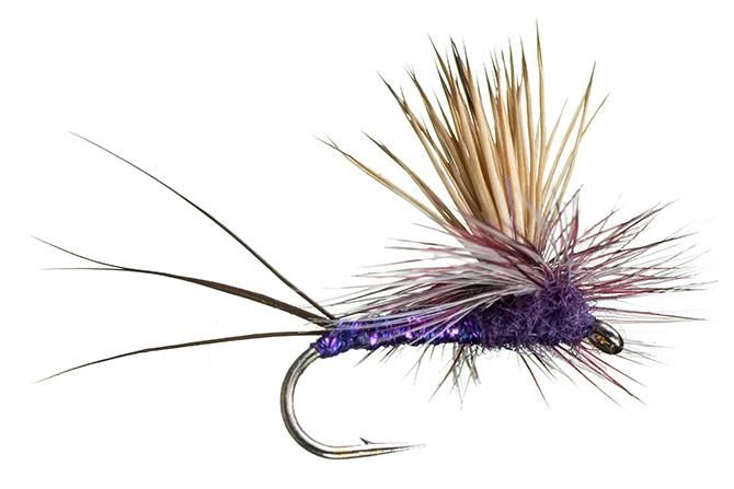 Rocky Mountain Mint Dry Fly