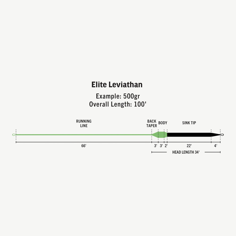Rio Elite Leviathan 26 Foot Sink Tip