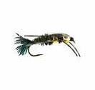 Speckled DB Stone Nymph