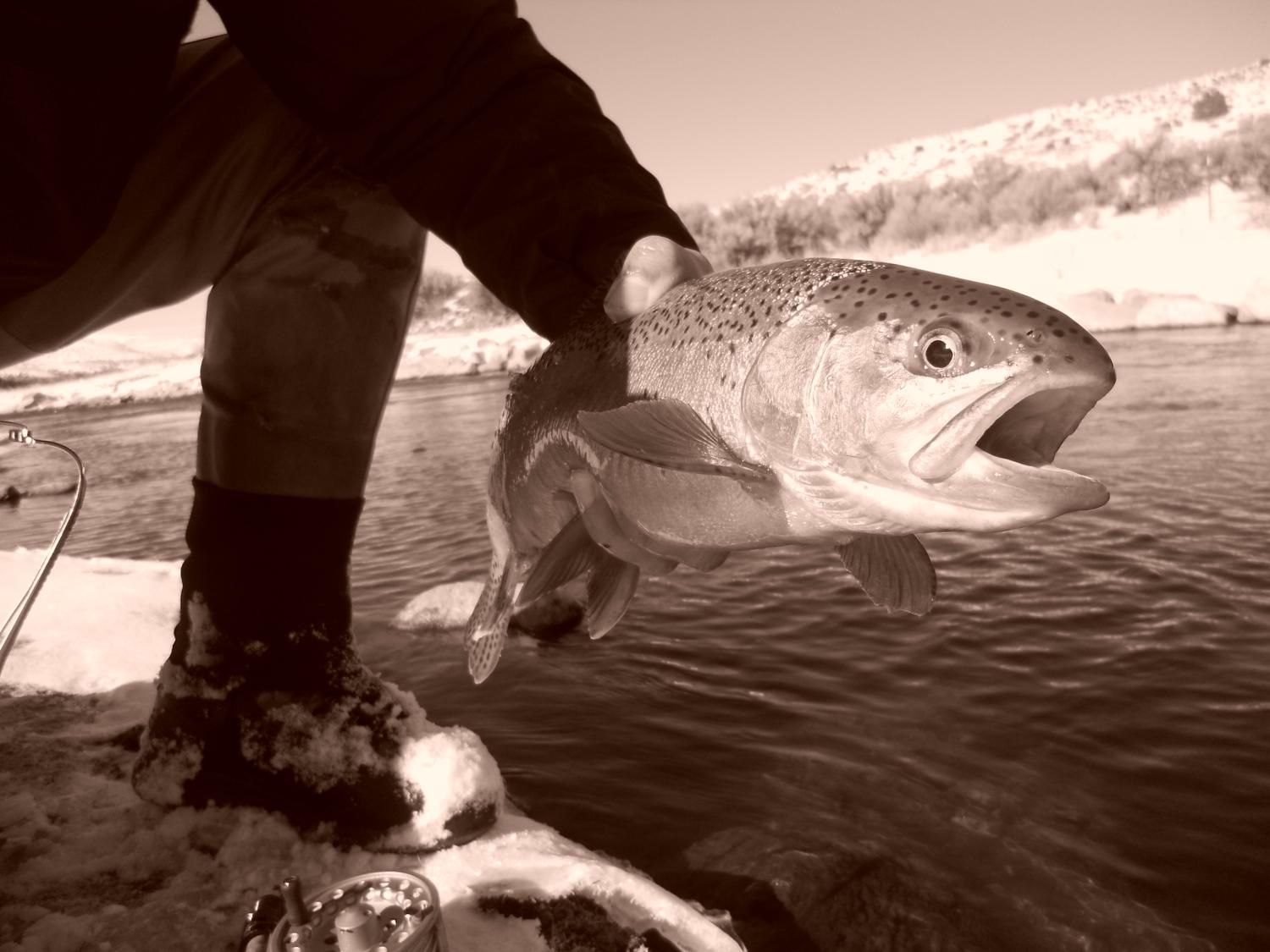Technical Tailwaters Class Saturday Nov 25th 10am-12pm  Old Town
