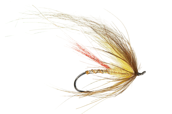 Trout Scandi
