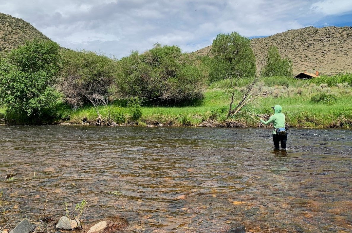 Laramie River Fishing Report – St. Peter's Fly Shop