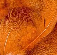 Mallard Barred Flank