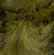 Mallard Barred Flank