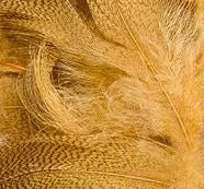 Mallard Barred Flank