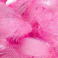 Mallard Barred Flank