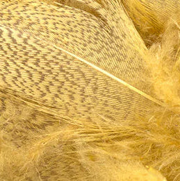 Mallard Barred Flank