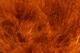 Hareline Extra Select Strung Marabou