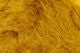 Hareline Extra Select Strung Marabou