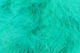 Hareline Extra Select Strung Marabou