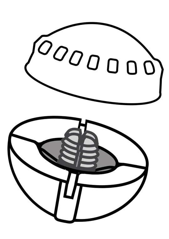 Airlock Centerlock Indicator - 3 Pack