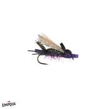 Amy's Ant Dry Fly