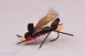 Amy's Ant Dry Fly