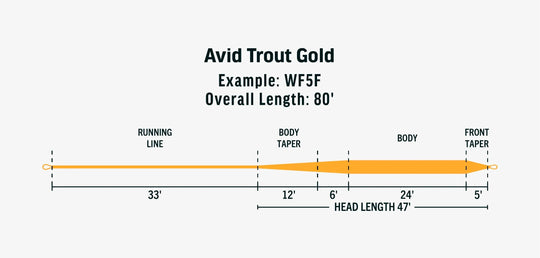 Rio Avid Trout - Gold