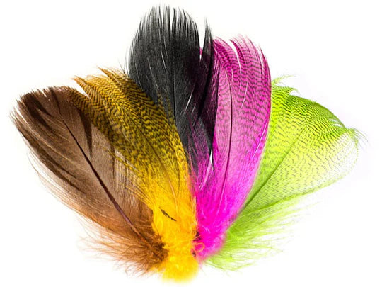 Mallard Barred Flank