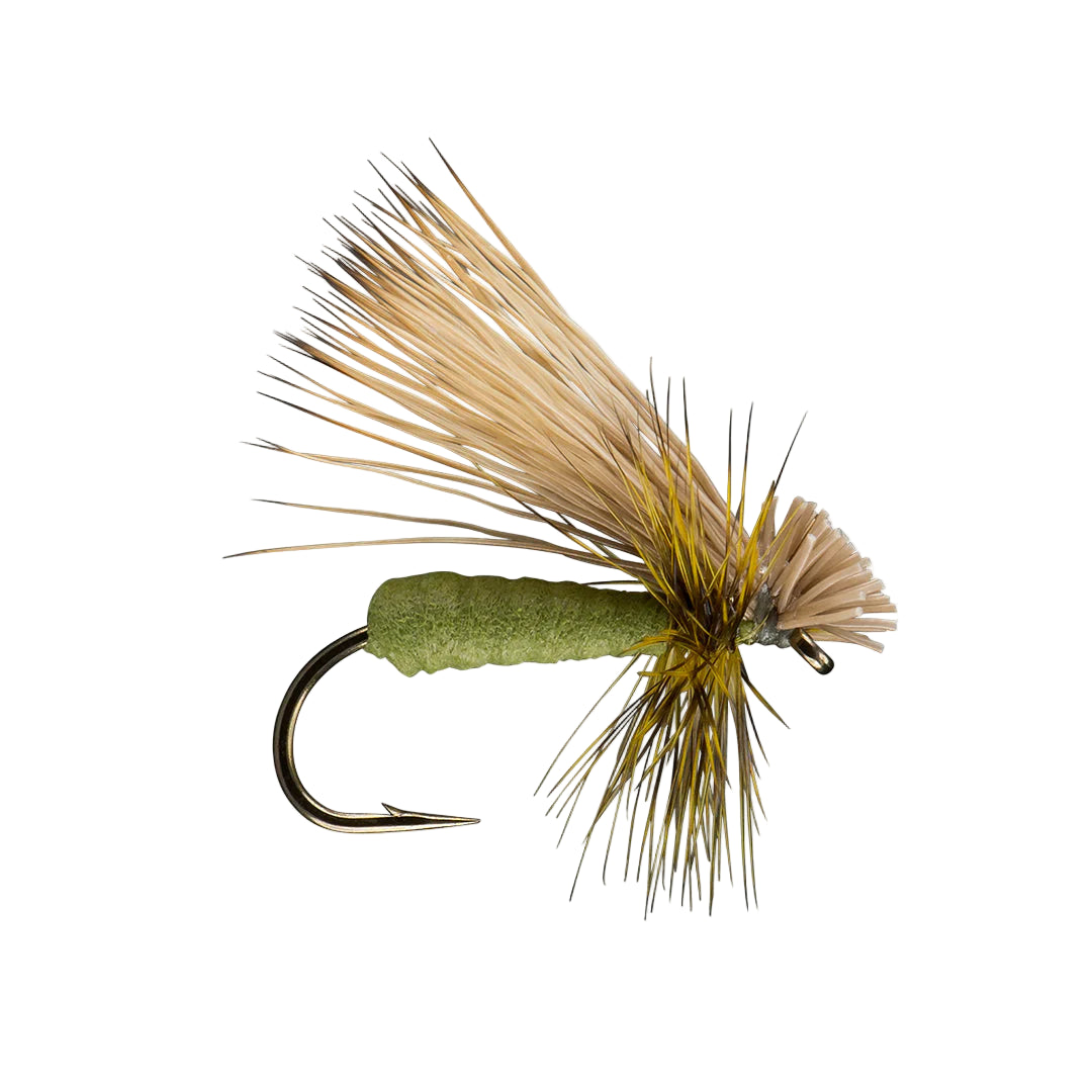 Better Foam Caddis