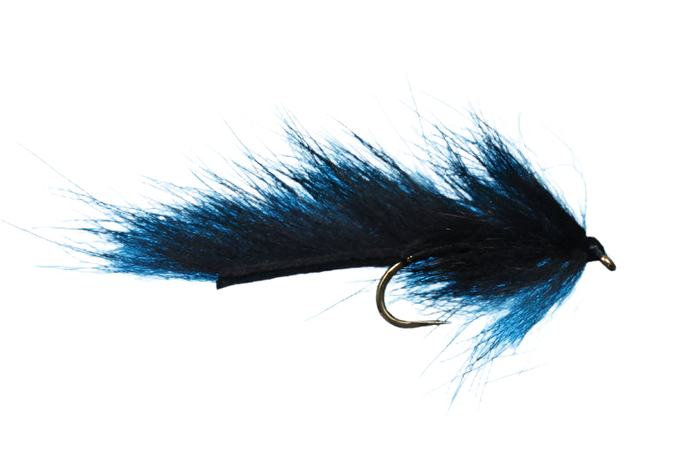 Pine Squirrel Leech