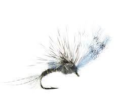 Film Critic Dry Fly