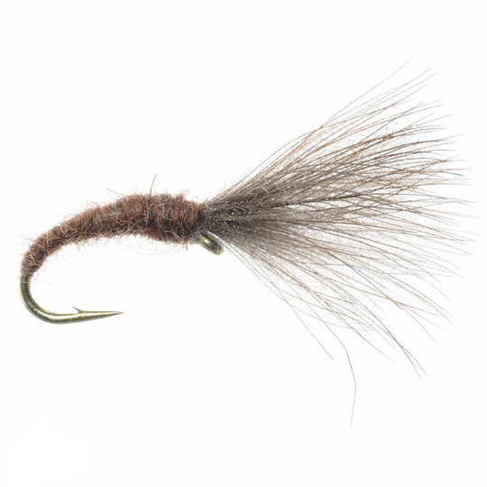 Mole Fly