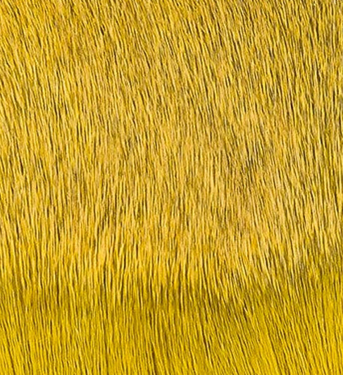 Deer Body Hair