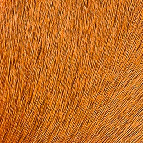 Deer Body Hair