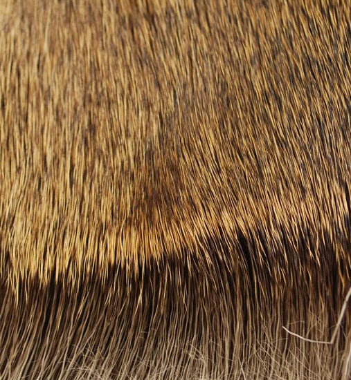 Deer Body Hair