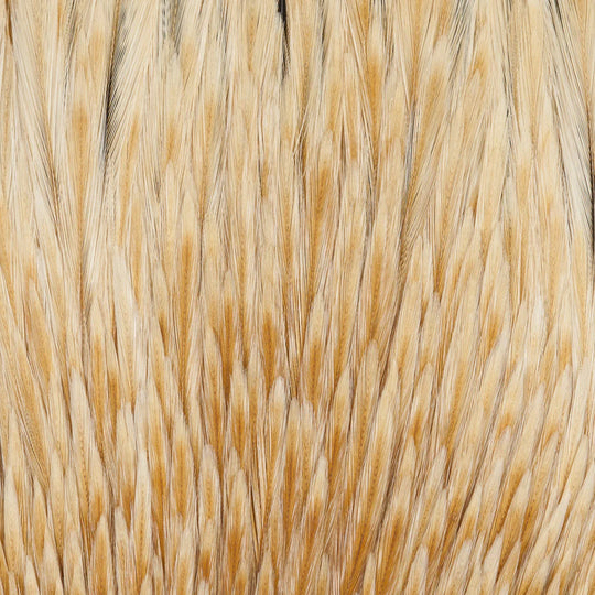 Dry Fly Rooster Neck