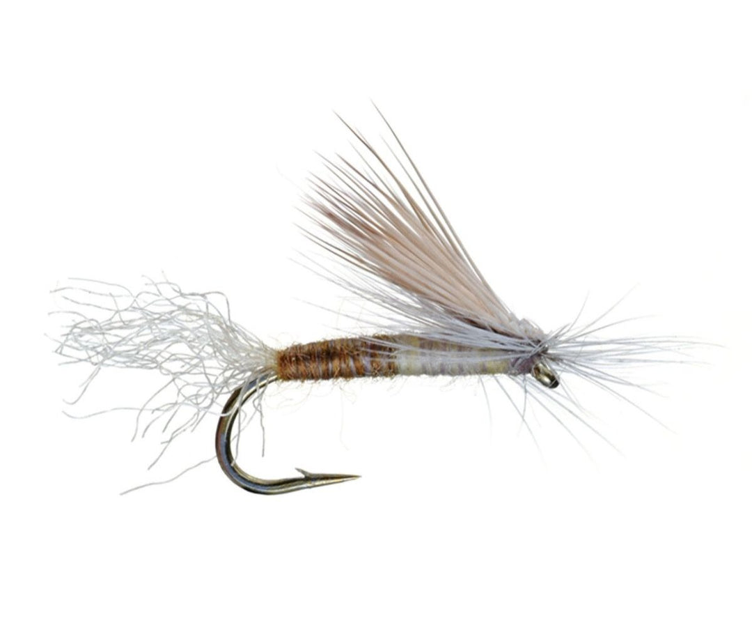 E/C Caddis Dry Fly