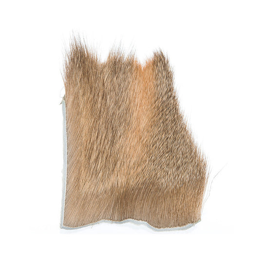 Elk Body Hair