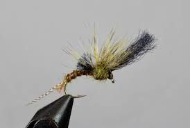 Film Critic Dry Fly