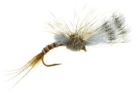 Film Critic Dry Fly