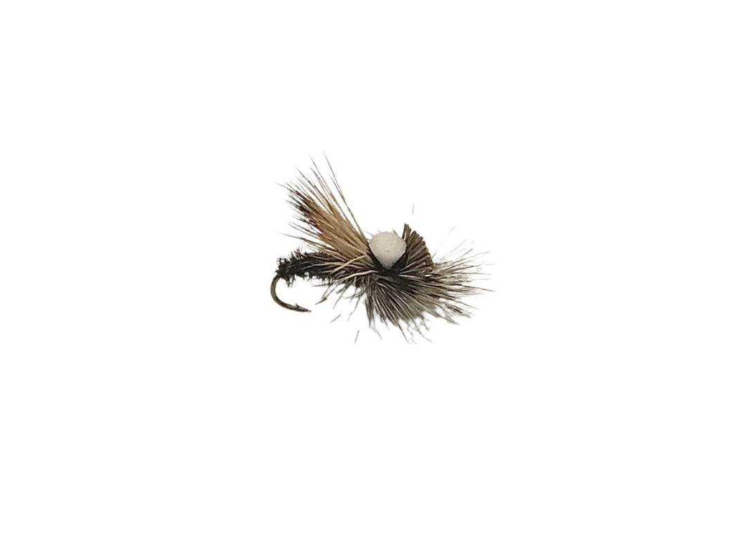 Headlight Caddis