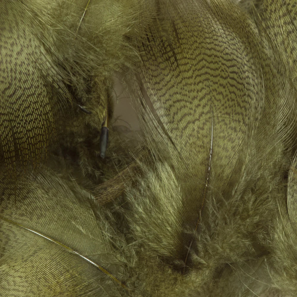 Mallard Barred Flank