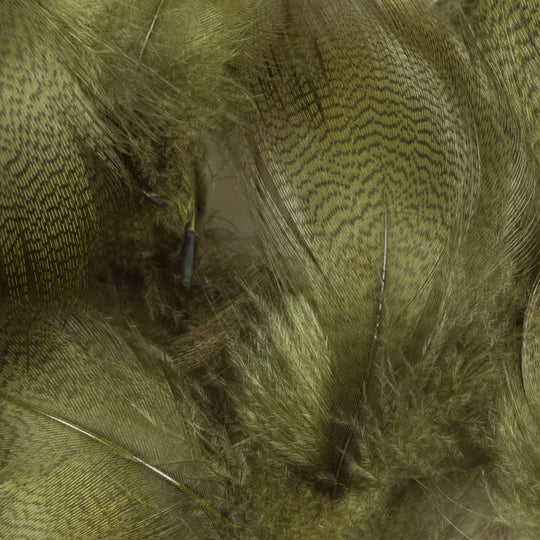 Mallard Barred Flank