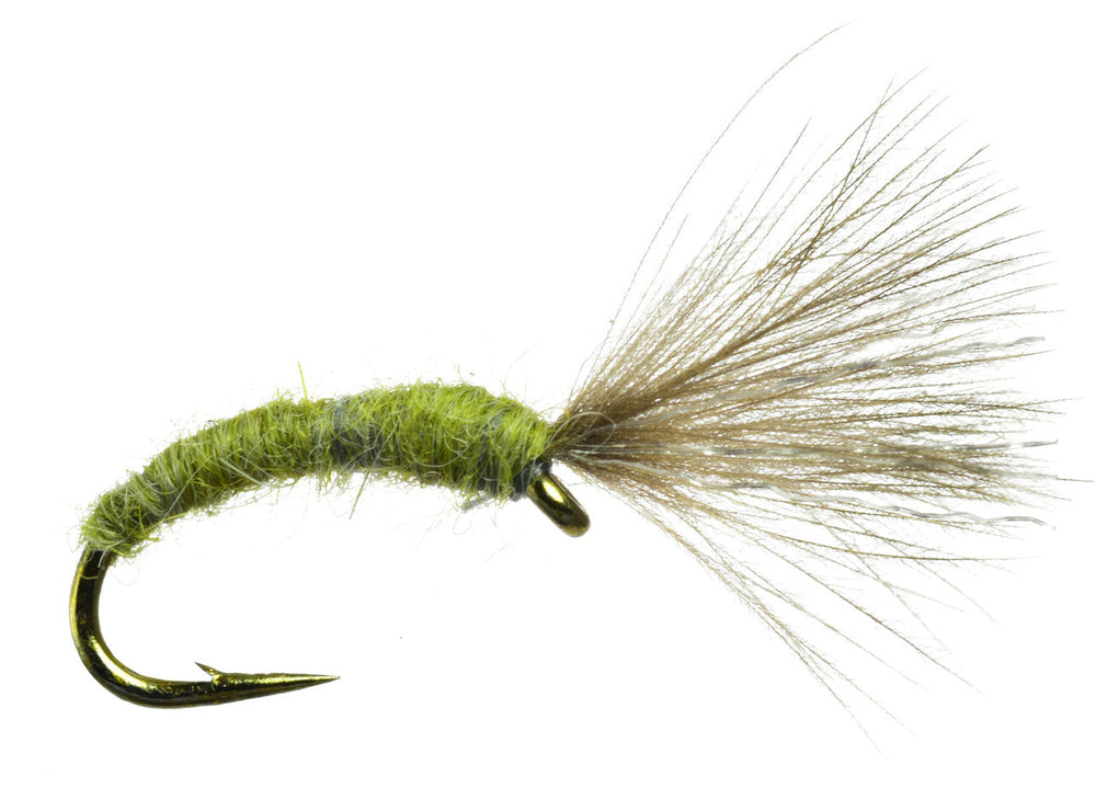 Mole Fly
