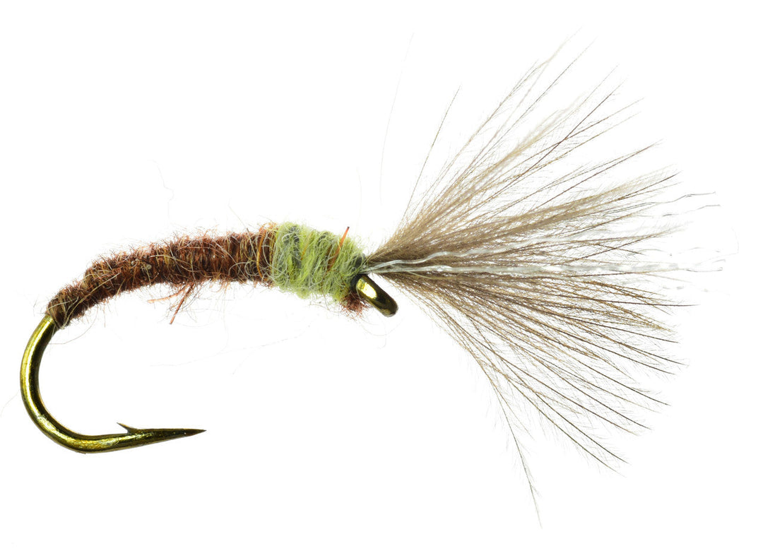 Mole Fly