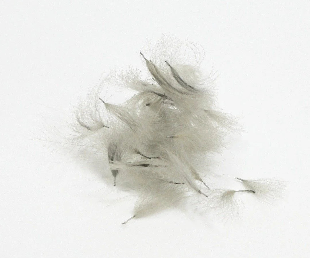Nature's Spirit CDC Tuffs