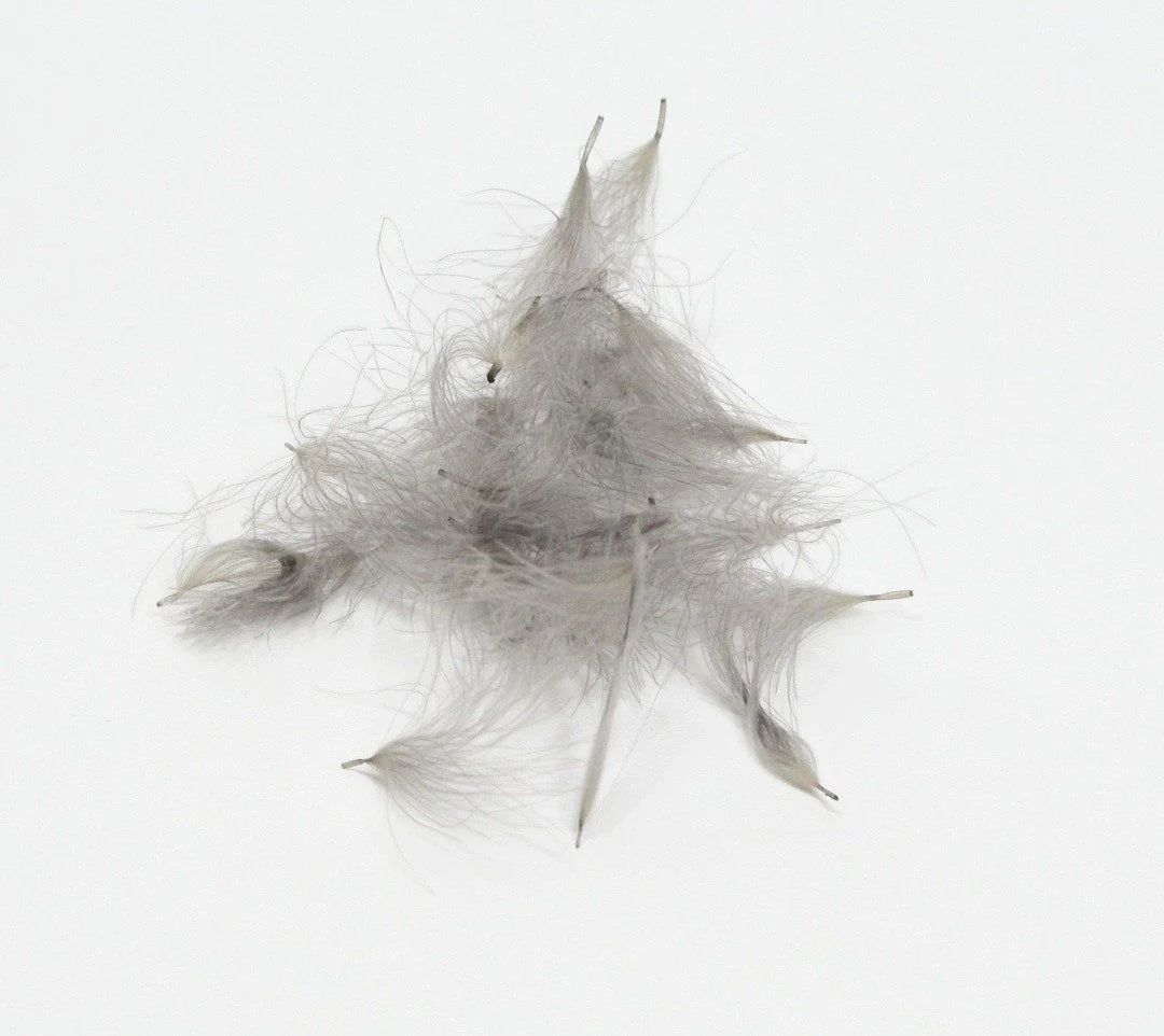 Nature's Spirit CDC Tuffs