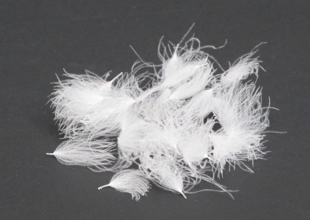 Nature's Spirit CDC Tuffs