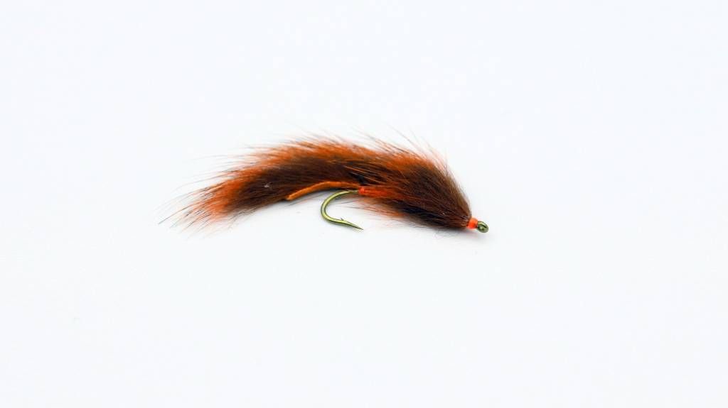 Pine Squirrel Leech