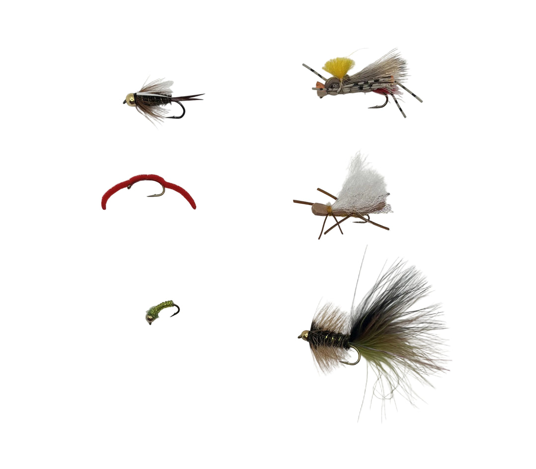 Poudre River Fly Assortment