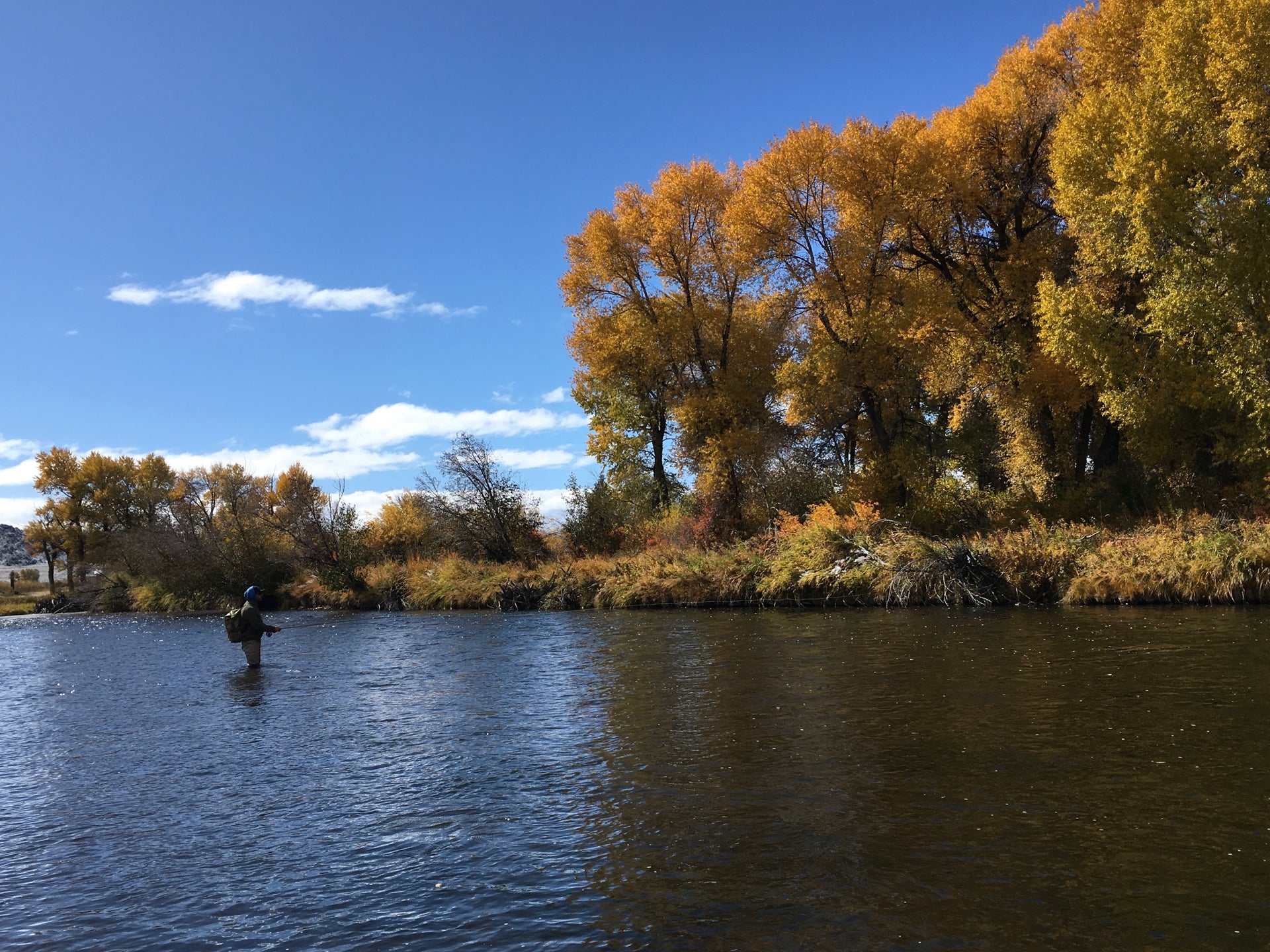 Free Fall Fishing presentation – St. Peter's Fly Shop