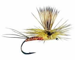 Rocky Mountain Mint Dry Fly